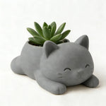 cache pot forme chat blanc noir gris moderne plante succulente doux mignonintérieur decoration