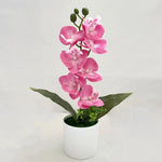 Orchidée artificielle rose pot blanc fleurs blanches intérieur décoration moderne salon événement