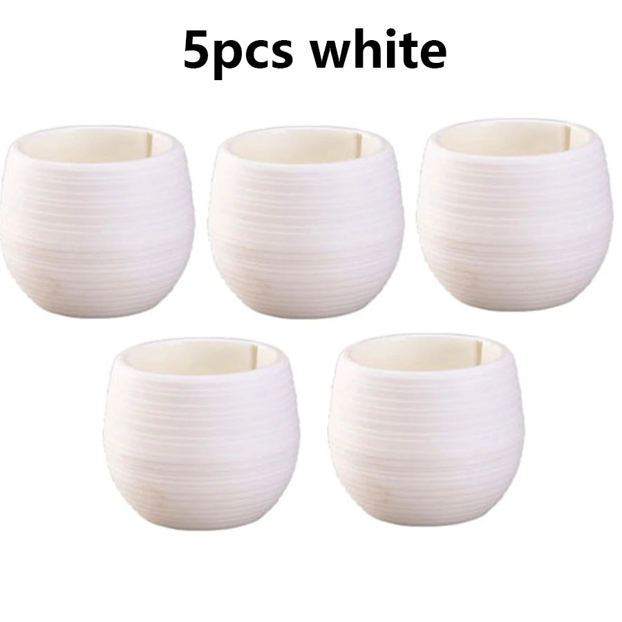 pots fleurs succulentes drainants couleur aléatoire rayures modernes transparents petite plante jardinière echangable