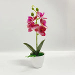 Orchidée artificielle rose pot blanc fleurs blanches intérieur décoration moderne salon événement