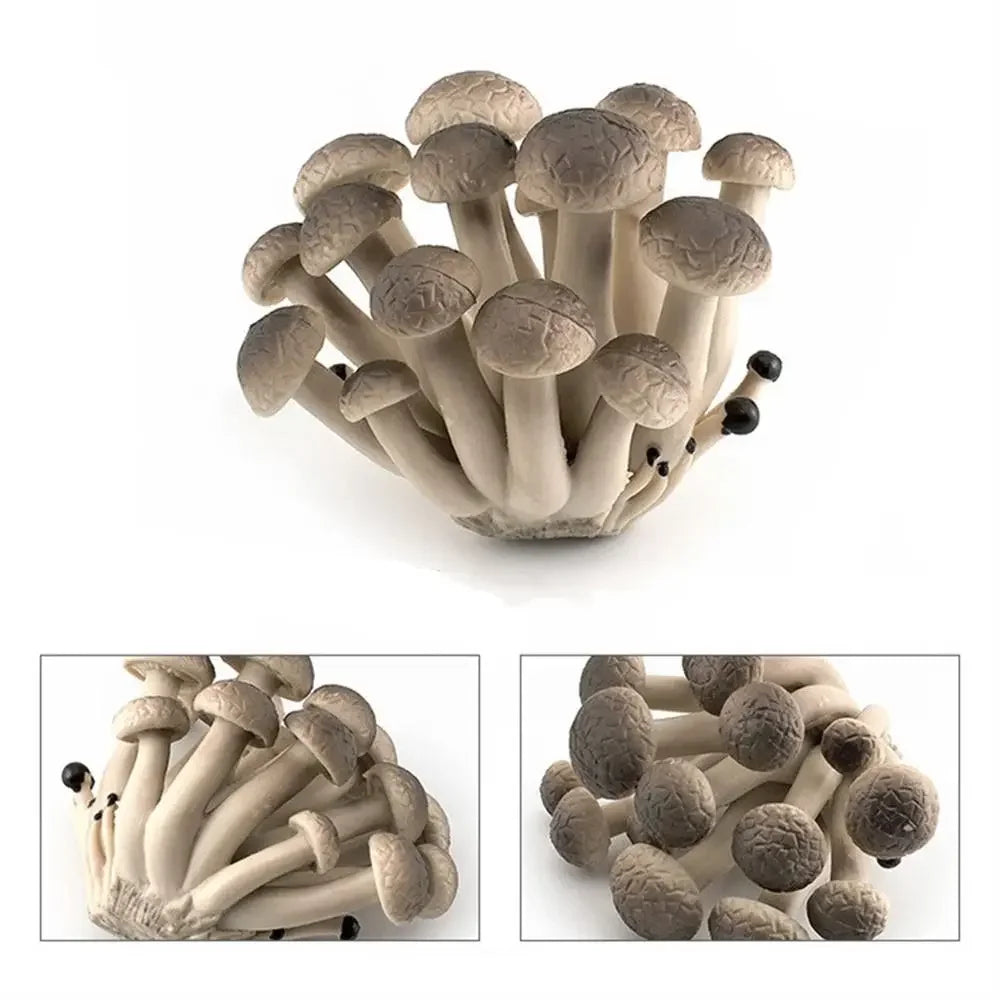 champignons décoratifs résine marron rouge lisses réels jardin decoration pointillés adultes