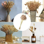 bouquet fleurs séchées plumes fines décoration intérieure mariage anniversaire rustique beigeclair naturel driedflowers