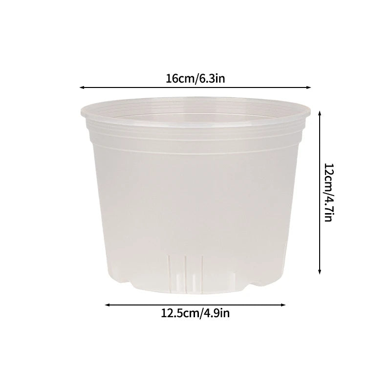 Pots semis transparents drainage plantes fleurs jardin pratique large
