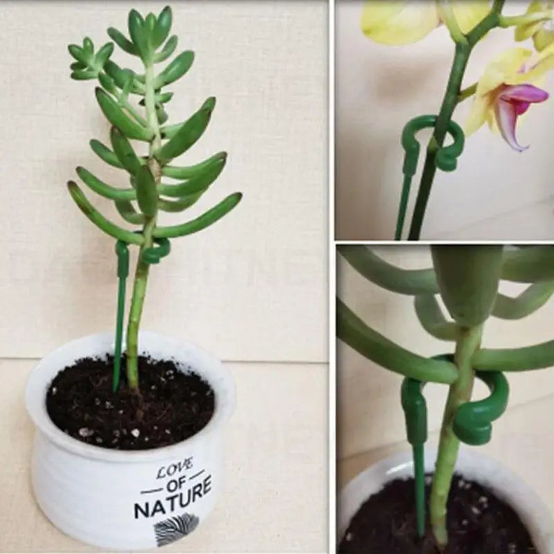 supports plantes tiges vertes modernes 17cm 27cm 37cm 48cm eyelets plastique minimalistes