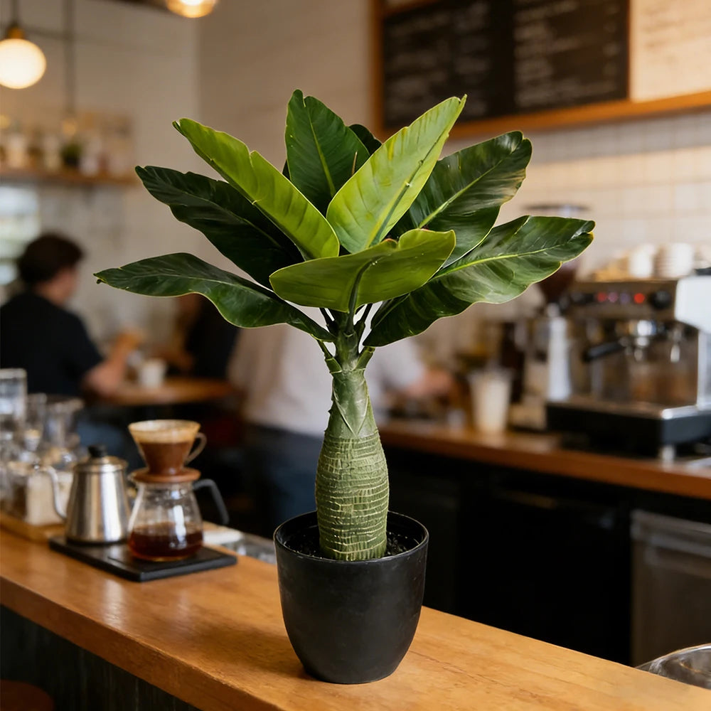 plantes artificielles arbre bananier tronc épais feuilles larges vertes pot noirintérieur décoration maison