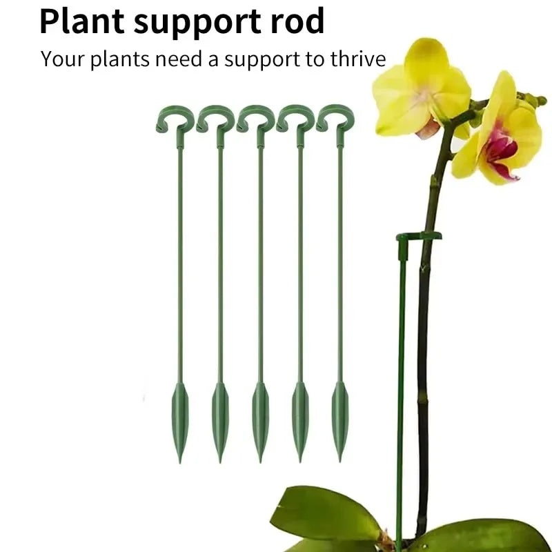 supports plantes vert foncés tiges lisses jardinage 27cm orchidées grimpantes fleurs tomates
