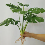 plantes artificielles vertes feuilles larges moderne decoration intérieure feuilles nervures perforations racines apparentes minimaliste