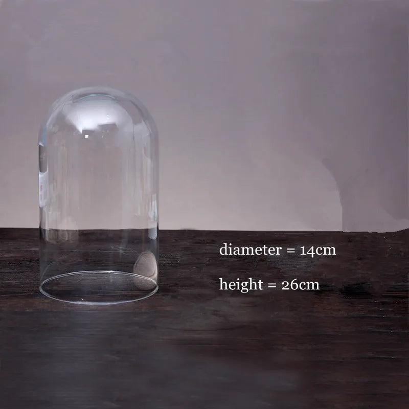 cloche verre transparent horloge vintage cadran bois aiguilles balancier deco classique protection gâteau sophistication