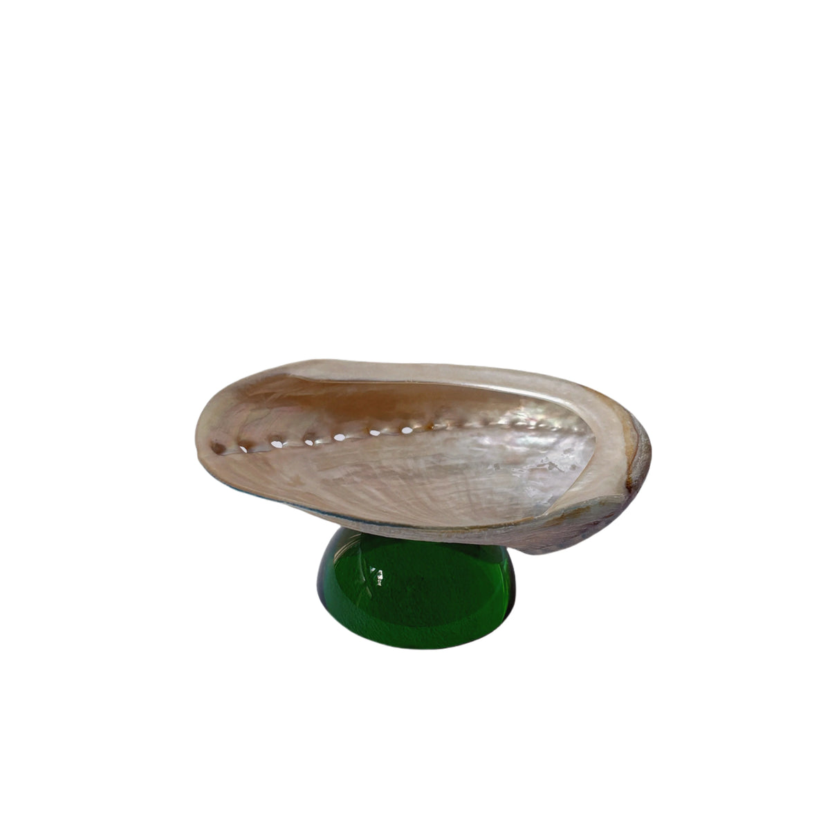 assiettes verre coquillages support fruits bijoux transparents naturels artisanal moderne