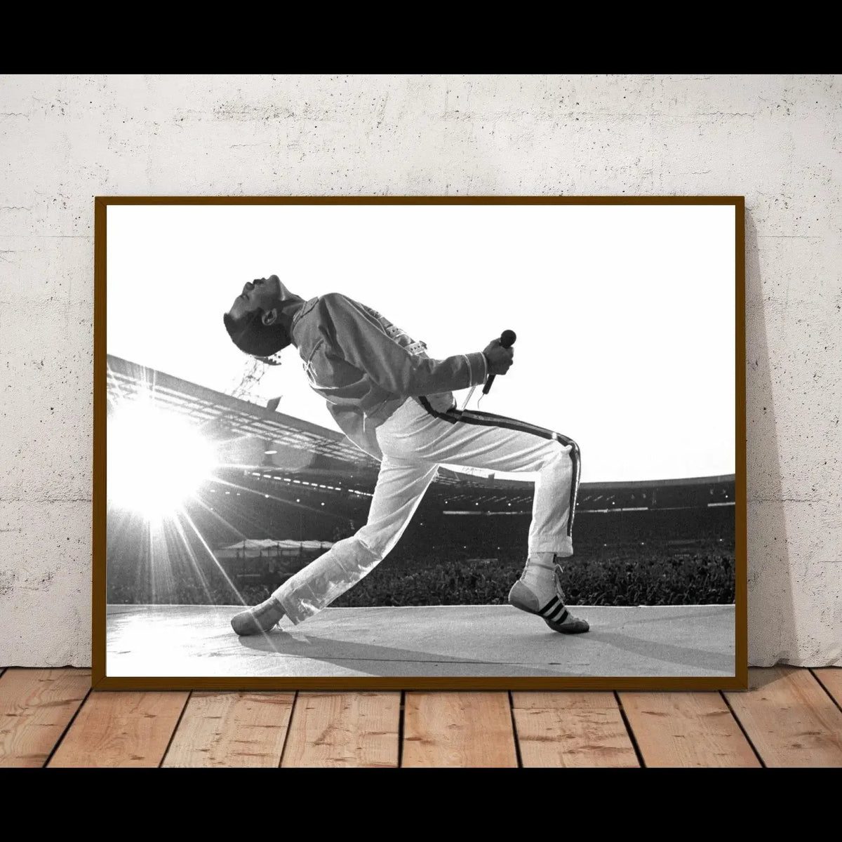affiche encadrée freddie mercury noir blanc classique photo dynamique personnage cadre bois chambre salon