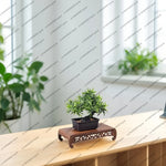 support plantes bois sculpté artisanal marron décoration jardin traditionnelle stand fleurs pots miniatures