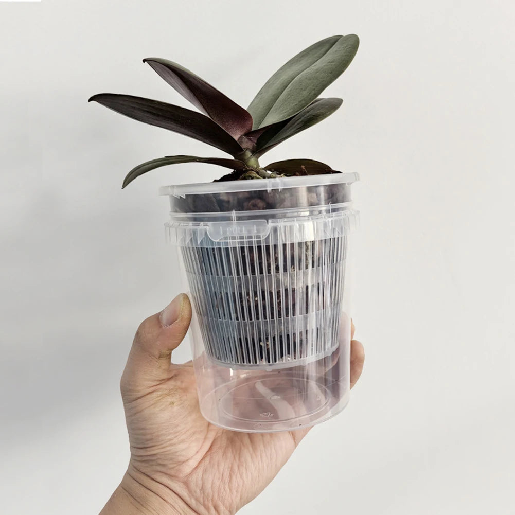 pots plante transparents plastique moderne grille drainage auto arrosage