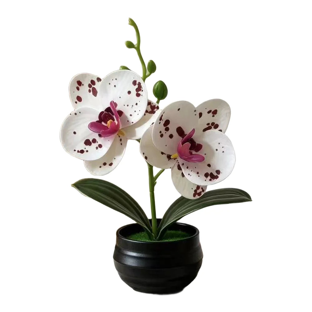 Orchidée artificielle taches violets feuilles vertes pot noir décoration intérieure moderne chambre salon