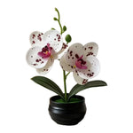 Orchidée artificielle taches violets feuilles vertes pot noir décoration intérieure moderne chambre salon