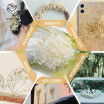 bouquets fleurs séchées blanches décoration intérieure anniversaire mariage baby shower pendaison crémaillère