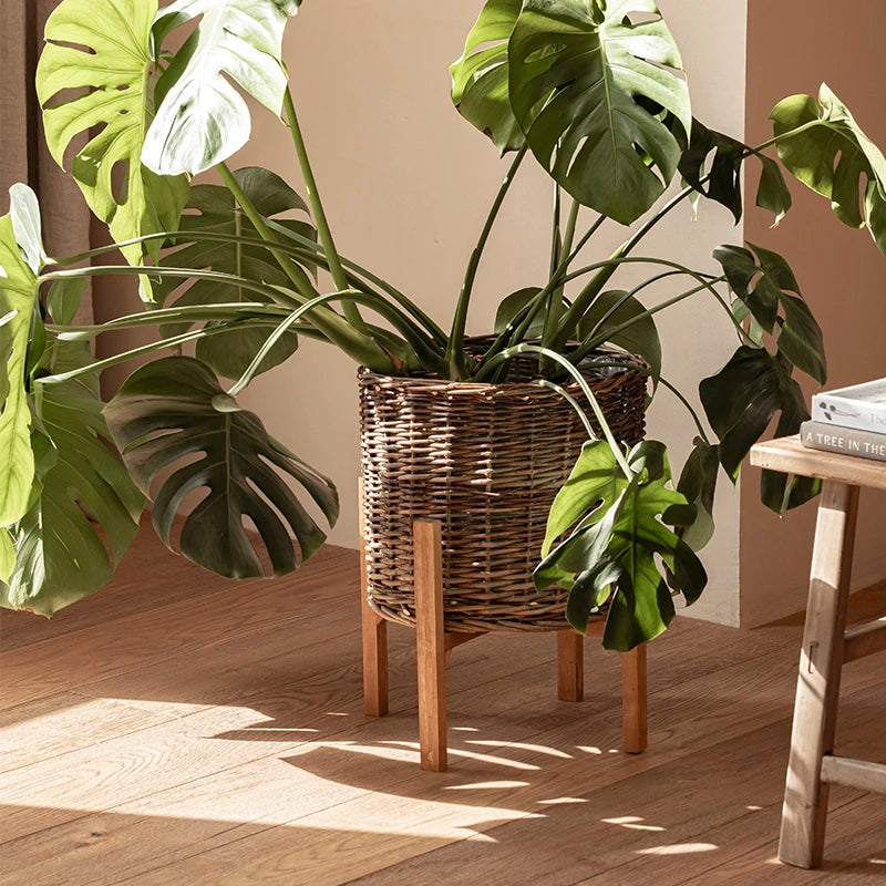 panier plantes tressé rotin marron clair brun foncé support bois intérieur extérieur salon balcon