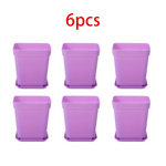 pots fleurs carrés multicolores plastique violet bleu jaune vert moderne adhésif 7cm 8cm 5cm