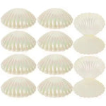 coquillages colorés plastique rose blanc violet rayures verticales modernes boîtes bonbons 10 pièces festives