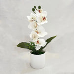 Orchidée artificielle rose pot blanc fleurs blanches intérieur décoration moderne salon événement
