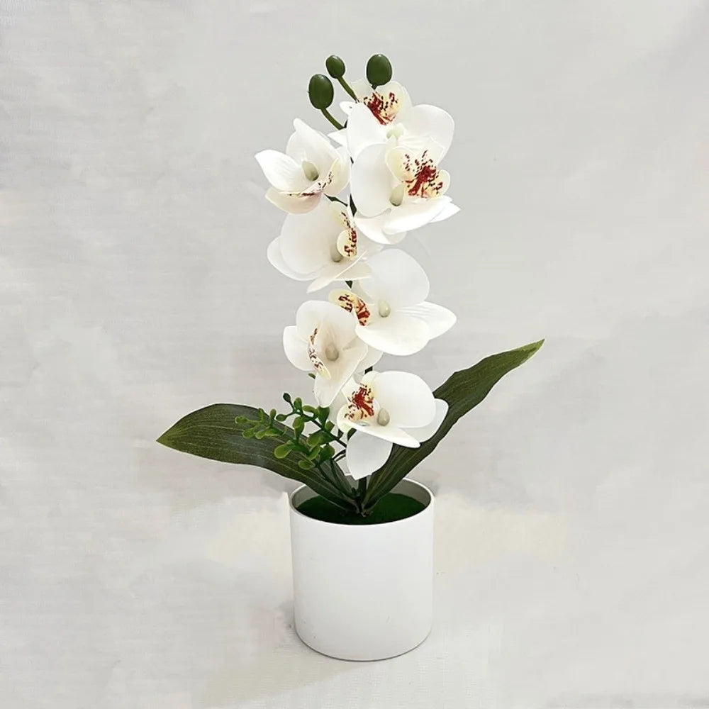 Orchidée artificielle rose pot blanc fleurs blanches intérieur décoration moderne salon événement