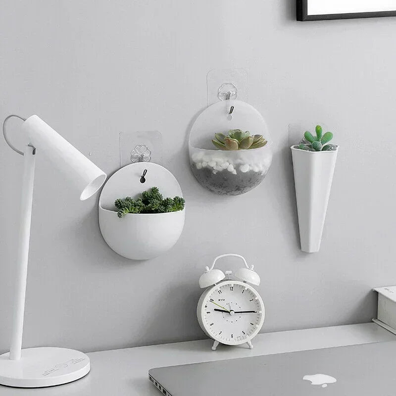 plante murale moderne pot osier suspendu décoration intérieure transparent succulente minimaliste