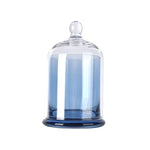cloches verre moderne argenté violet rose vert transparentes
