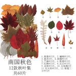 fleurs séchées multicolores naturelles variées feuilles séchées décor maison artisanat enfant autocollants journal