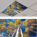 cache lumiere moderne nuages feuilles étoiles coraux adhésif bleu blanc vert noir