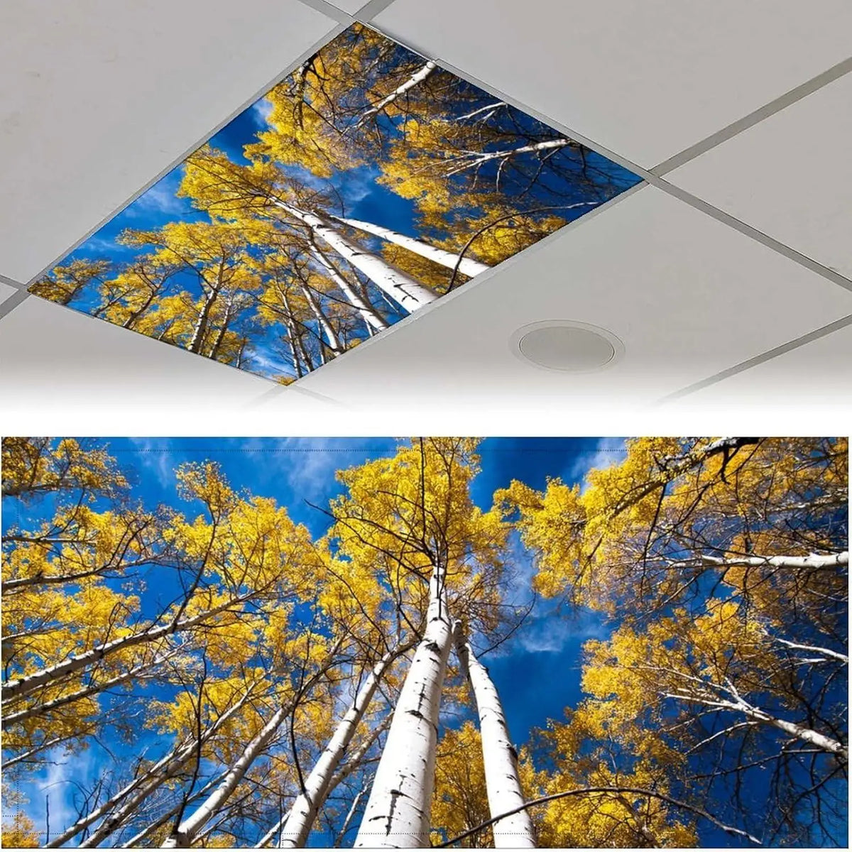 cache lumiere fluorescent moderne forêt ciel feuilles automne adhésif vert bleu blanc