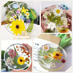 moule silicone coques transparentes fleurs séchées artisanat décoration maison epoxy résine circulaire cavités profondes
