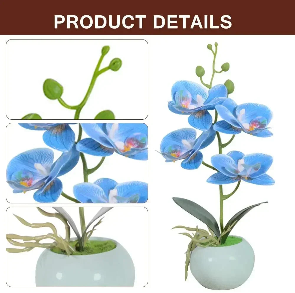 orchidée artificielle pot céramique bleu clair fleurs feuilles vertes moderne sans entretienintérieur décoration minimalistephalaenopsis