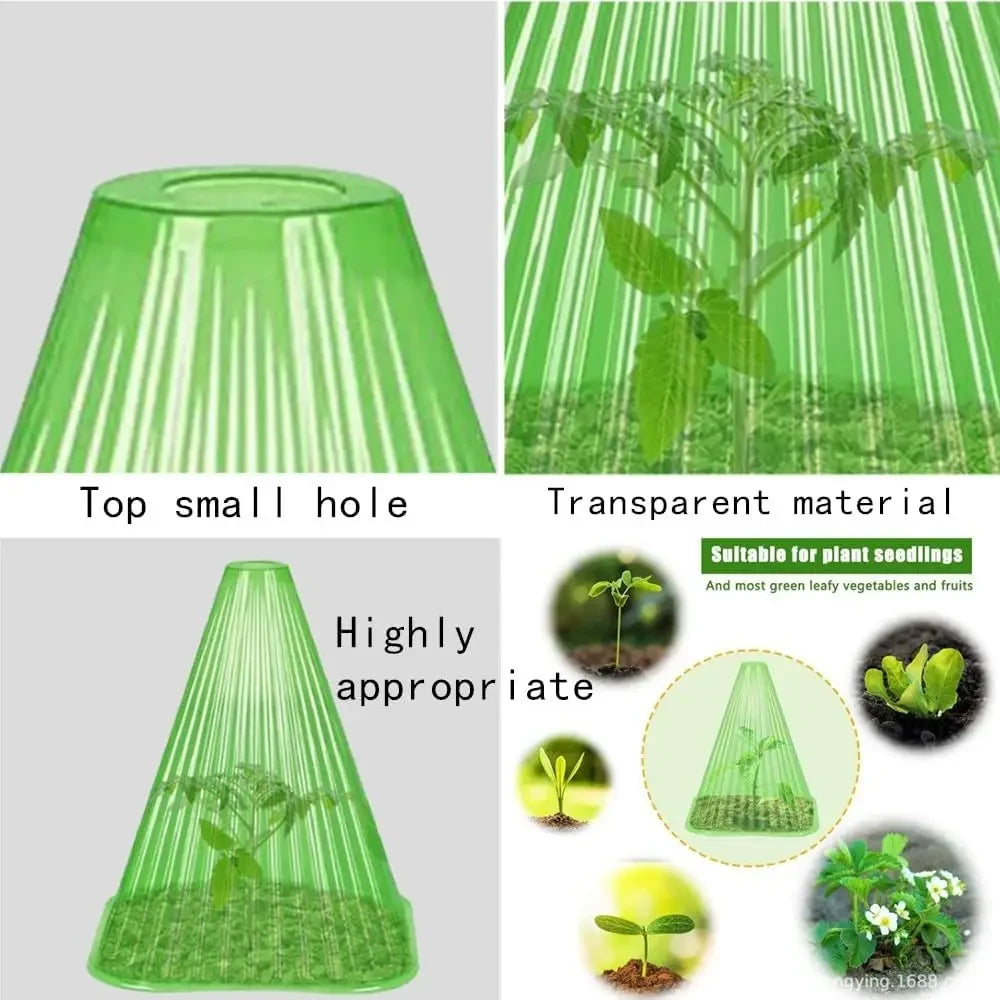 cache plantes vert transparent rayures conique fixé sol protection plantes gel oiseaux escargots
