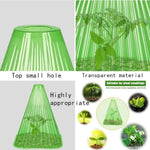 cache plantes vert transparent rayures conique fixé sol protection plantes gel oiseaux escargots
