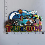 aimants réfrigérateur mexicains sombreros guitares cactus motifs floraux animaux exotiques souvenirs traditionnels multicolores