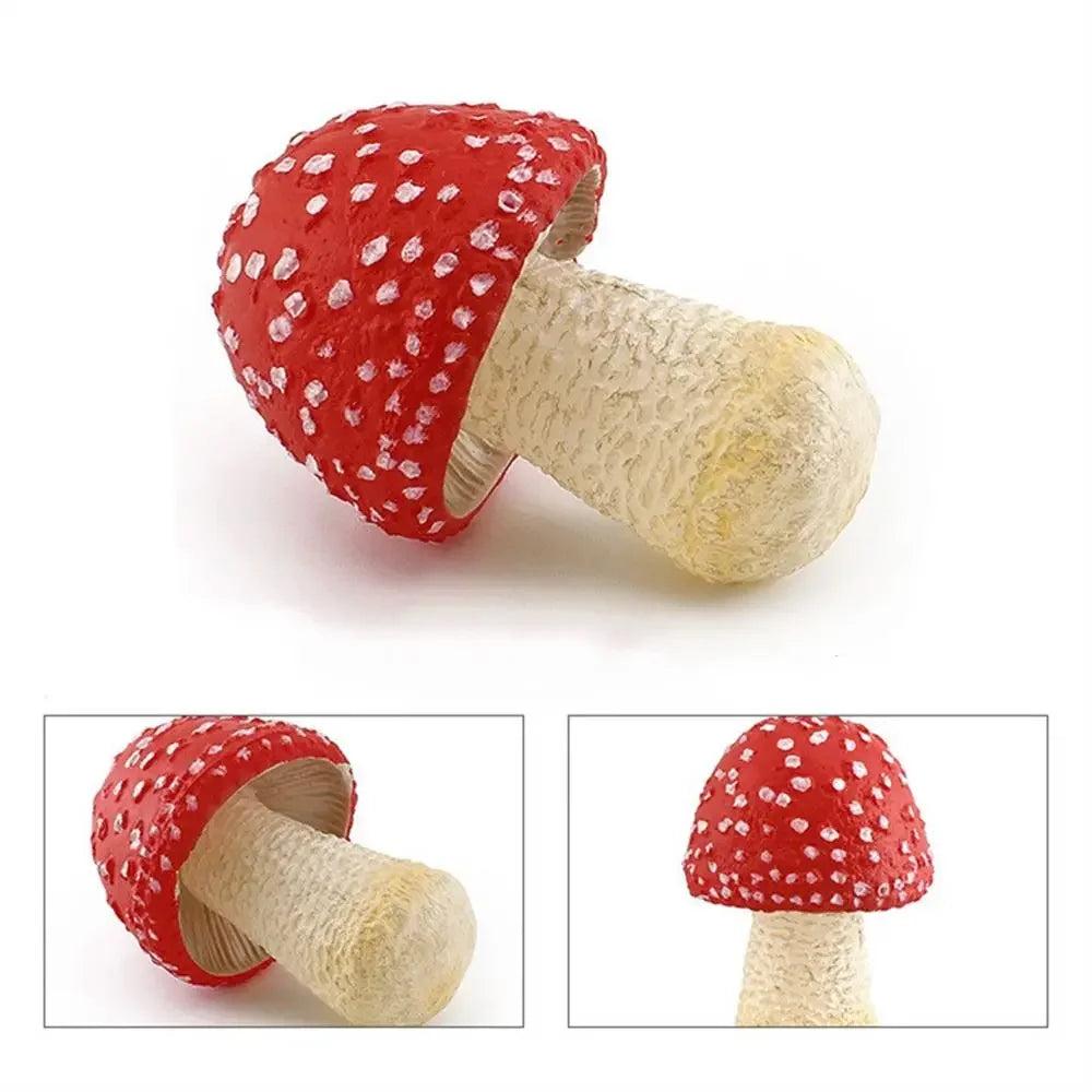 champignons décoratifs résine marron rouge lisses réels jardin decoration pointillés adultes