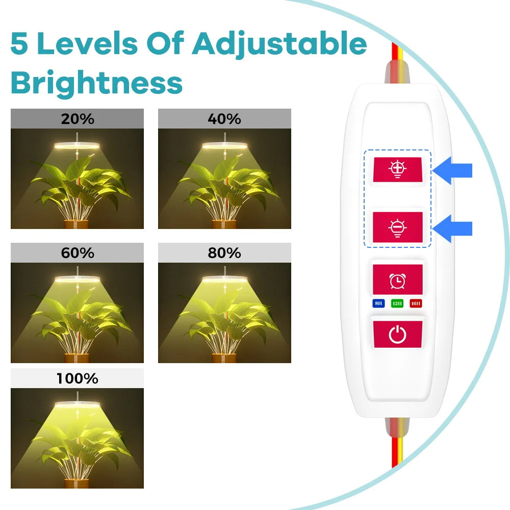lampe led croissance plante réglable minuterie auto arrêt fleurs cactus moderne transparent feuilles vertes