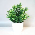 plantes artificielles vertes modernes décoration intérieure extérieure pot blanc feuilles fines exposition ordinateur