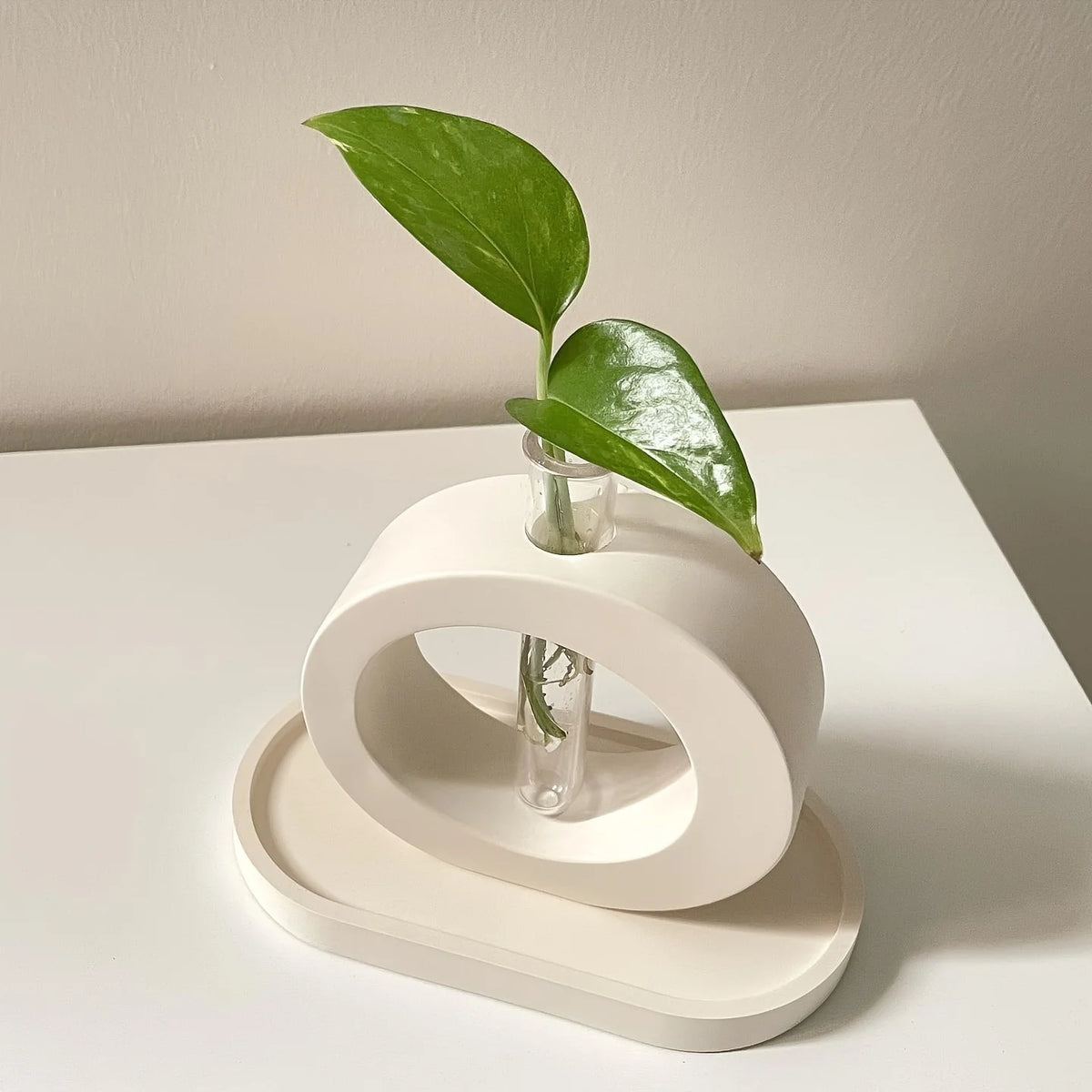 vases céramique blancs vases silicone tubes essai plateau compartiments hydroponiques fleurs modernes