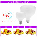 ampoule led 20w 30w 40w 50w 60w cold white e27 moderne opacité