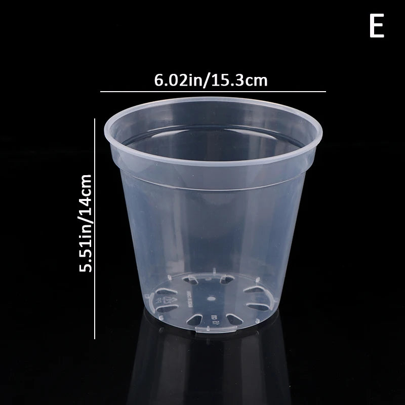 Pots semis transparents trou drainage moderne pratique couvercle