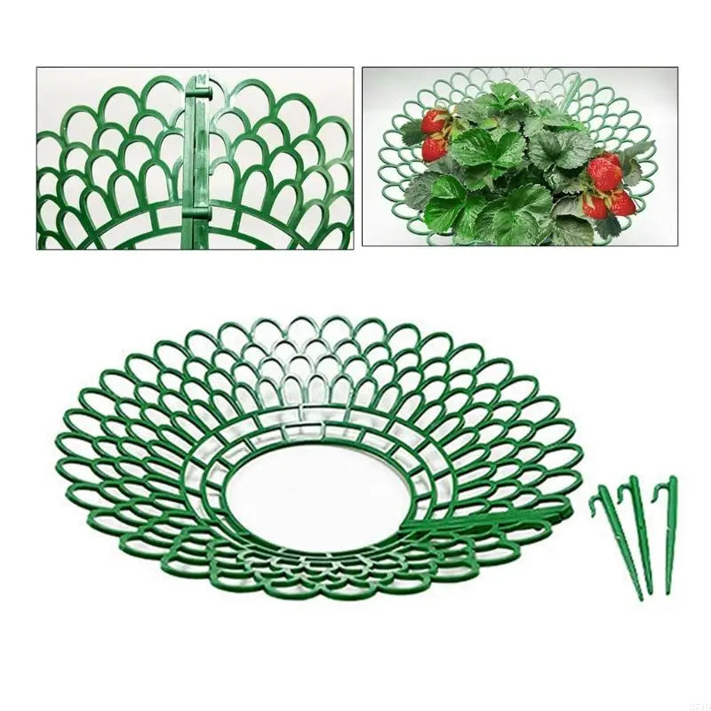 support fraisiers vert moderne grille géométrique opacité hauteur 4cm 26cm large