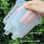 pots plantes transparents auto arrosants modernes plastique blanc rond lisses