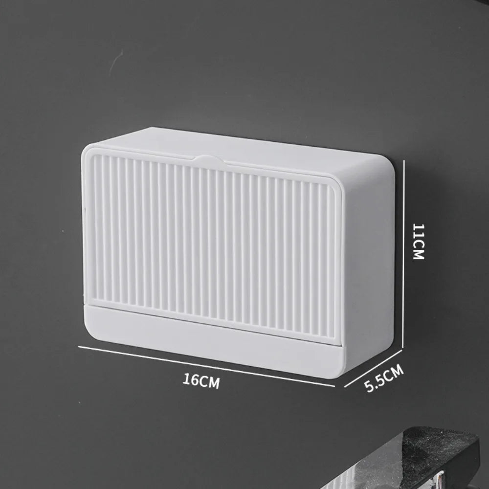 boîte savon moderne blanche rayée adhésive petite plante artificielle
