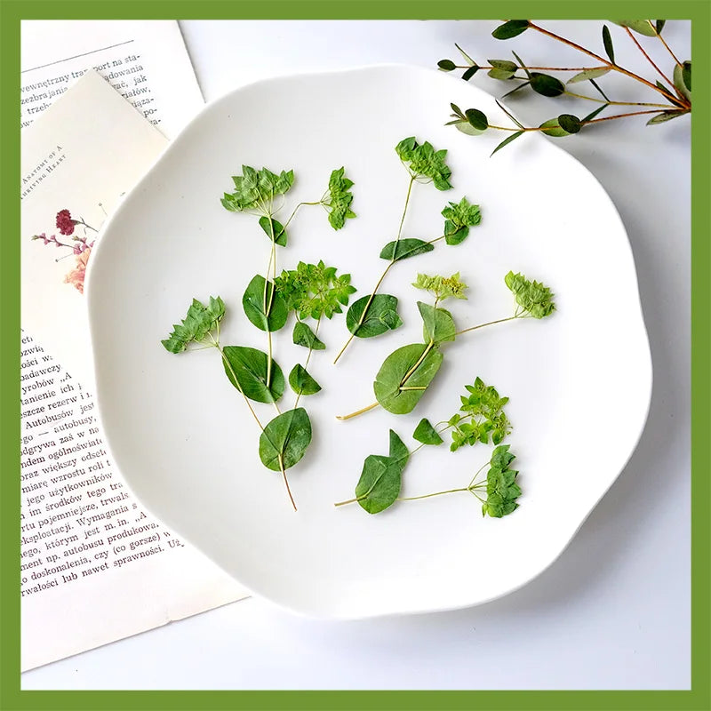 décoration intérieure feuilles séchées plantes vert fleurs nature rustique minimaliste anniversaire baby shower festive