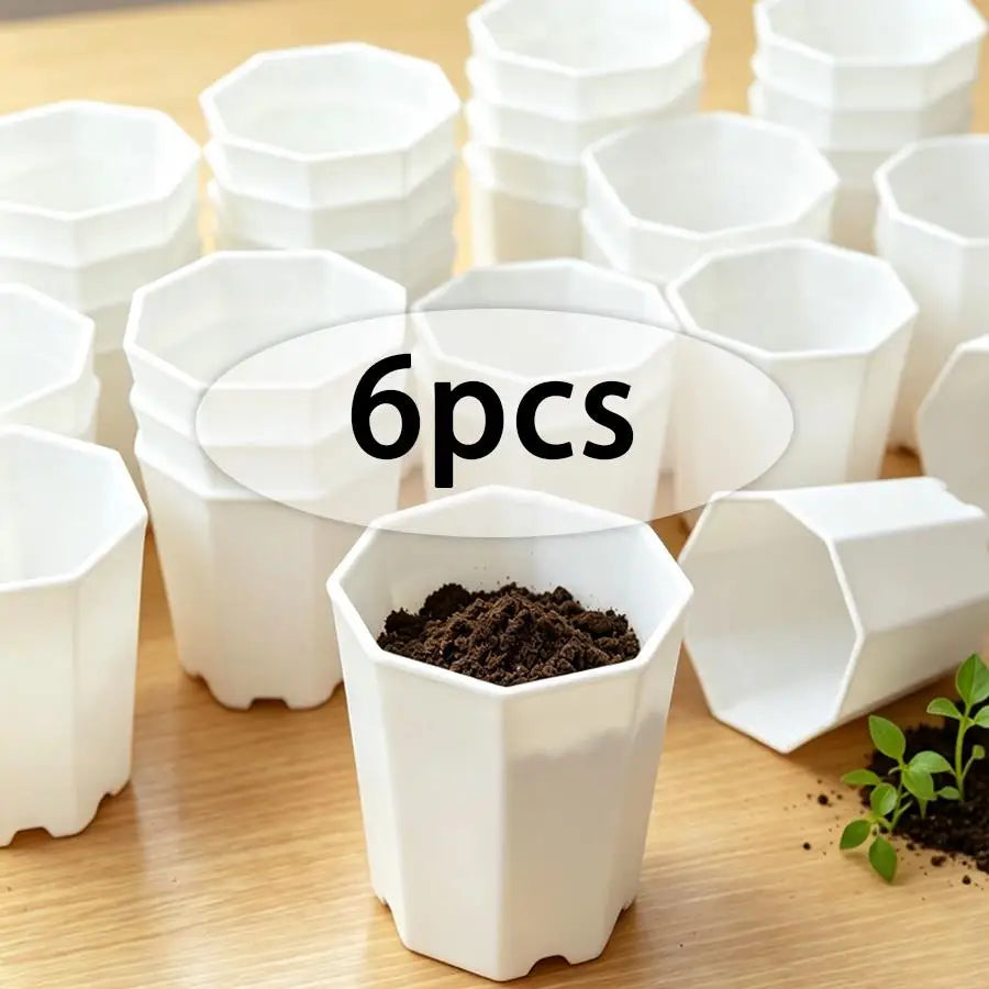pots plante blancs hexagonaux modernes succulentes décoration table 6pcs 12pcs 24pcs