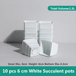 pots plantes plastique moderne blanc cactus succulents lithops drainage decoration maison