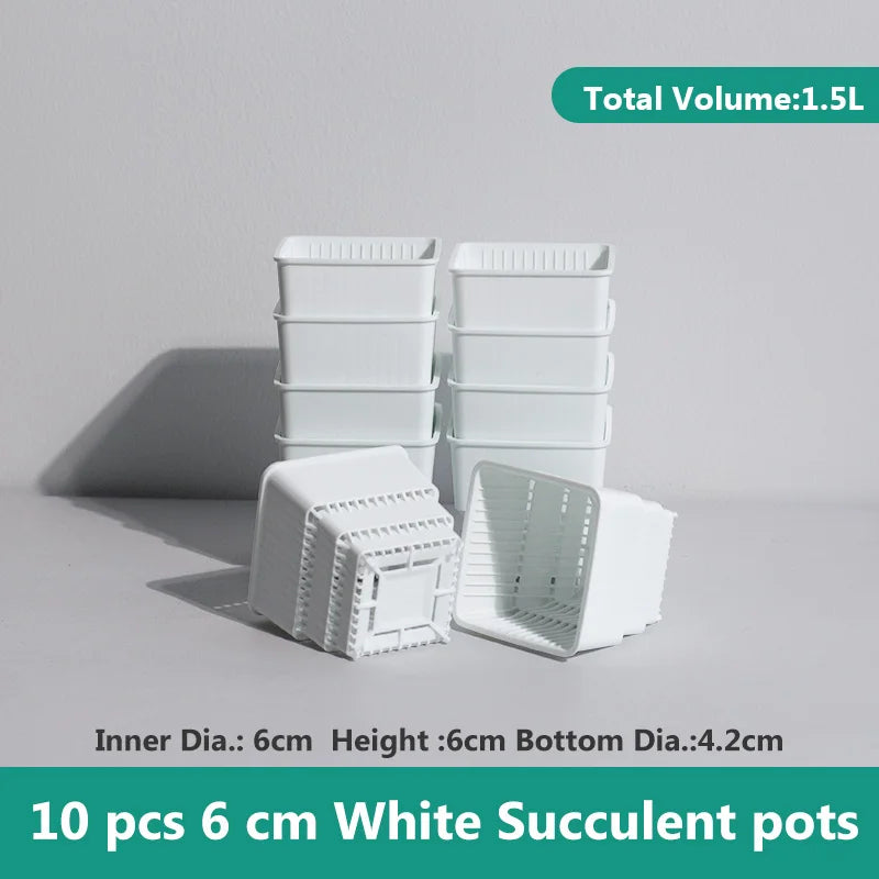 pots plantes plastique moderne blanc cactus succulents lithops drainage decoration maison