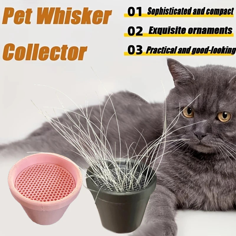 collecteur poils moustaches animaux compagnie pot fleurs support chat décoration collection moderne perforé