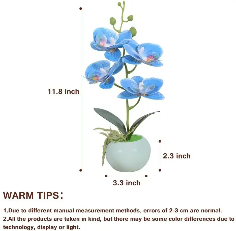 orchidée artificielle pot céramique bleu clair fleurs feuilles vertes moderne sans entretienintérieur décoration minimalistephalaenopsis