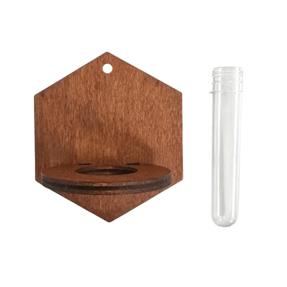 porte vase mural bois foncé moderne minimaliste texture naturelle vase transparent geometrique jellyfish sun